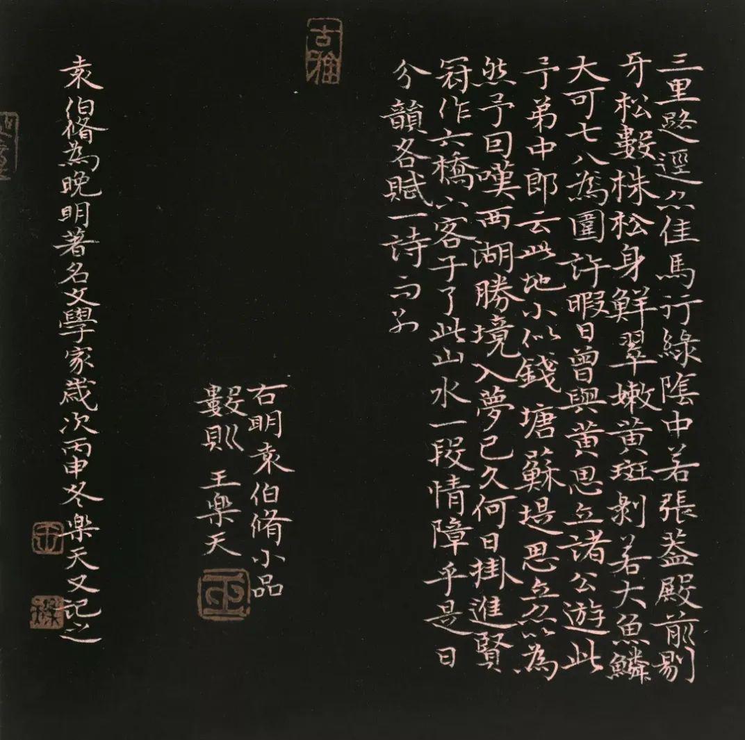 聚焦清风与归王乐天书法精品专辑