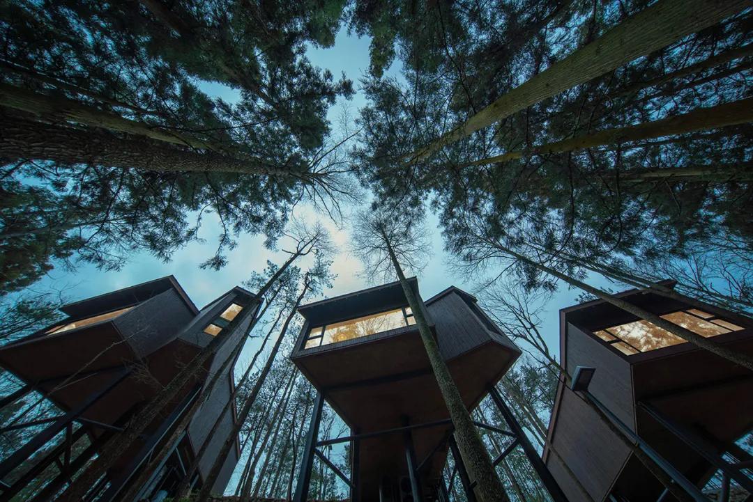 宁波云上清溪度假酒店:隐匿于杉林竹海间的秘境_木屋