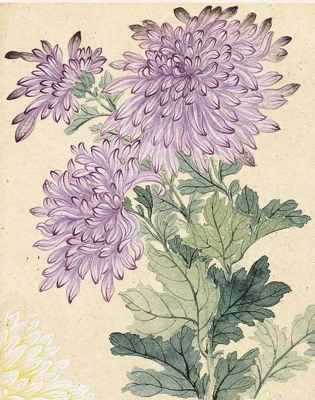 赏画春来再读瓯香馆不食烟火恽寿平