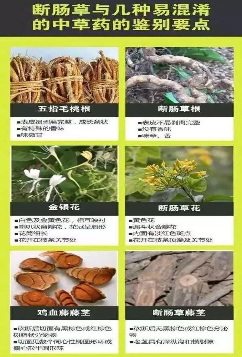 注意有毒市场监管局提醒谨防误食