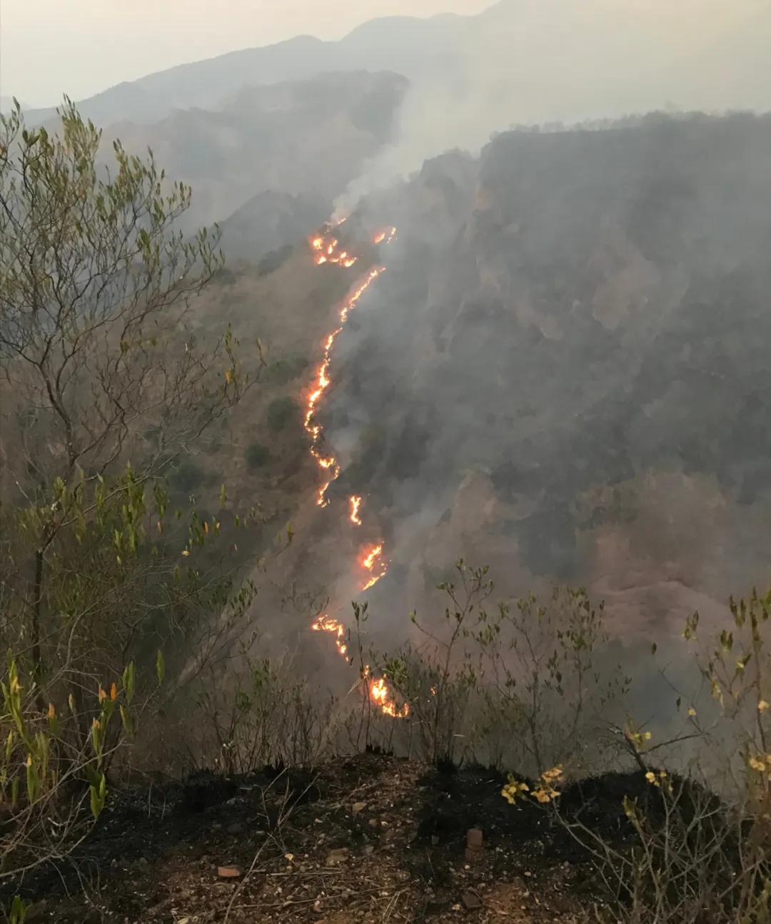 四川西昌森林火灾致19名扑火队员牺牲突遇森林火灾该怎么办