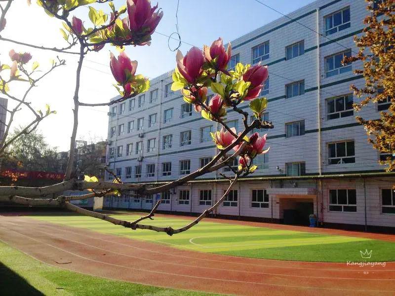 春日融融冀英邀你"云赏诗意校园"_保定