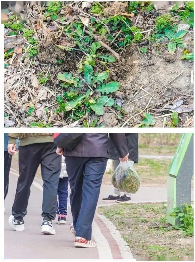 公园又现掐尖儿这种不文明行为得掐住