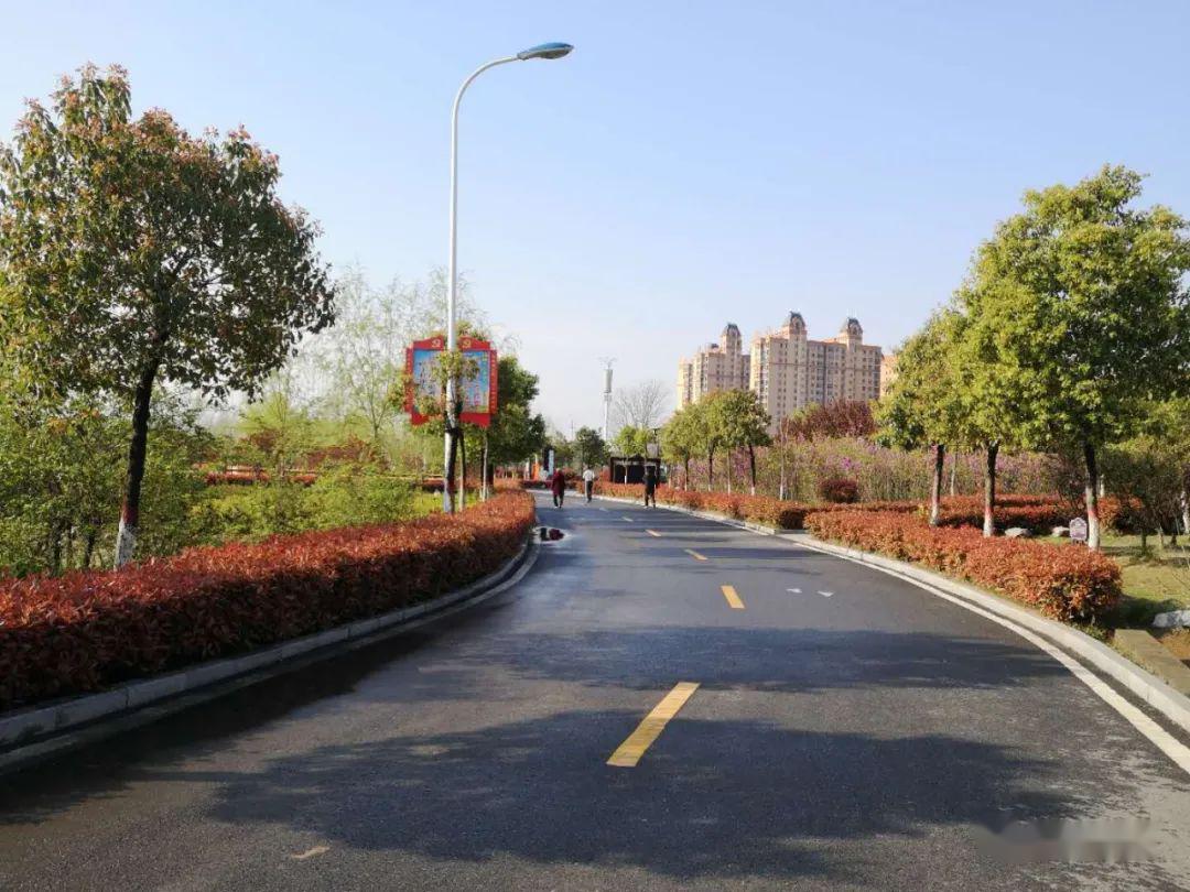 【图说正阳】正阳县:雨后春晴景象新_春雨