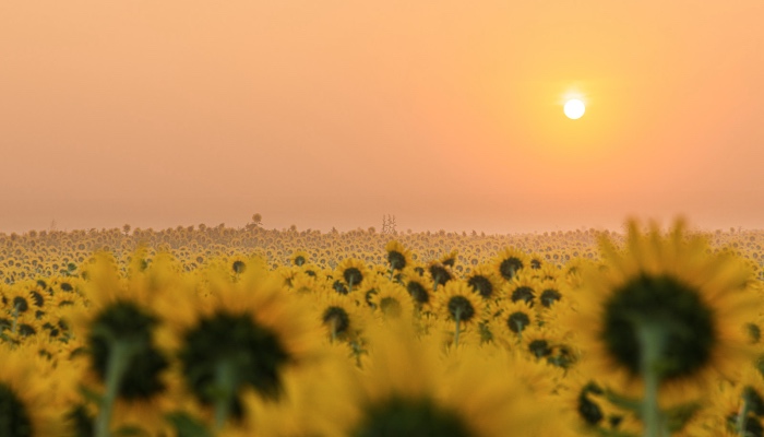 从产品运营到用户运营，家电厂商多年来为何总是遭遇落地难？-家电圈官网