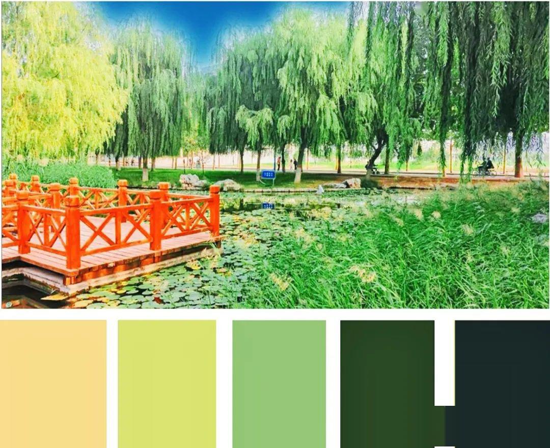 科大调色盘用色彩绘出好天气