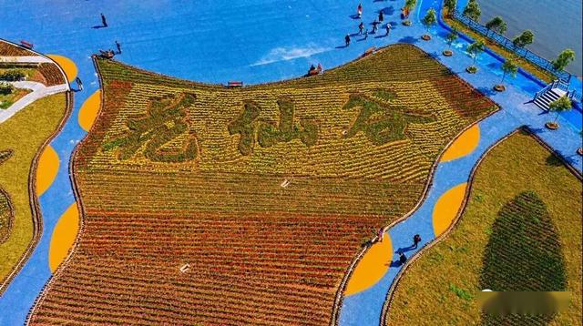 花仙谷,你去过吗?_君塘镇