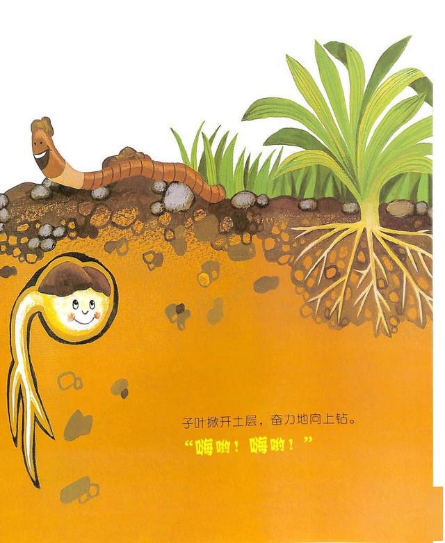 有声绘本故事《咕咚咕咚,种子喝水》