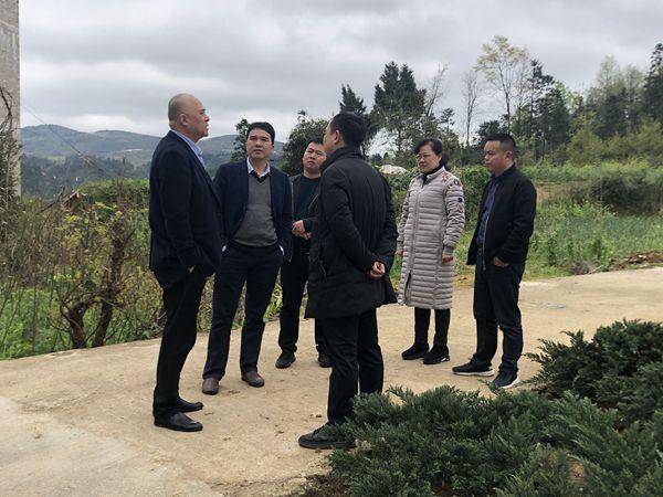 调研中,陈林一行实地查看了镇远县黔康源天麻培育生产厂房及苗家沟