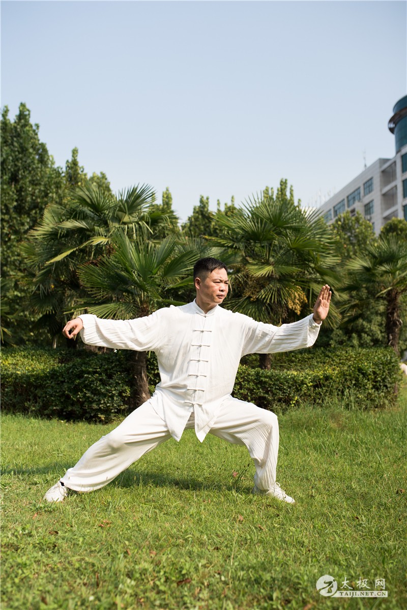 十大太极拳杰出青年之毛振修2019太极网传播盛典年度表彰人物