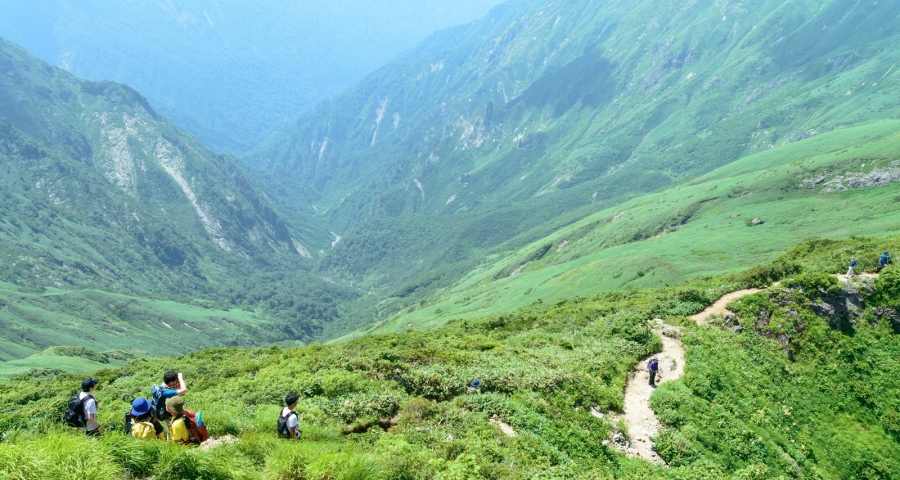 当前家电市场能抓住的反击机会：专业深耕、跨界协同、差异细分-家电圈官网