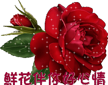 微信鲜花带字动态表情图片
