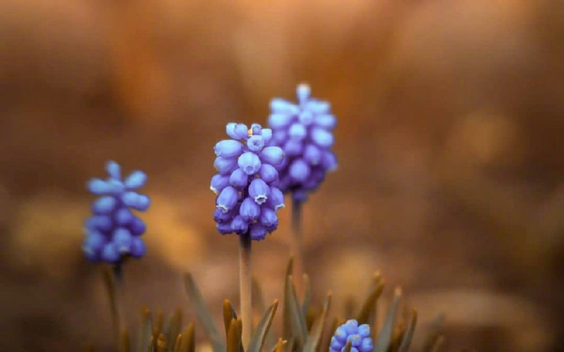 原创从4月1日开始好运要来到会阖家安康春风得意的三大星座