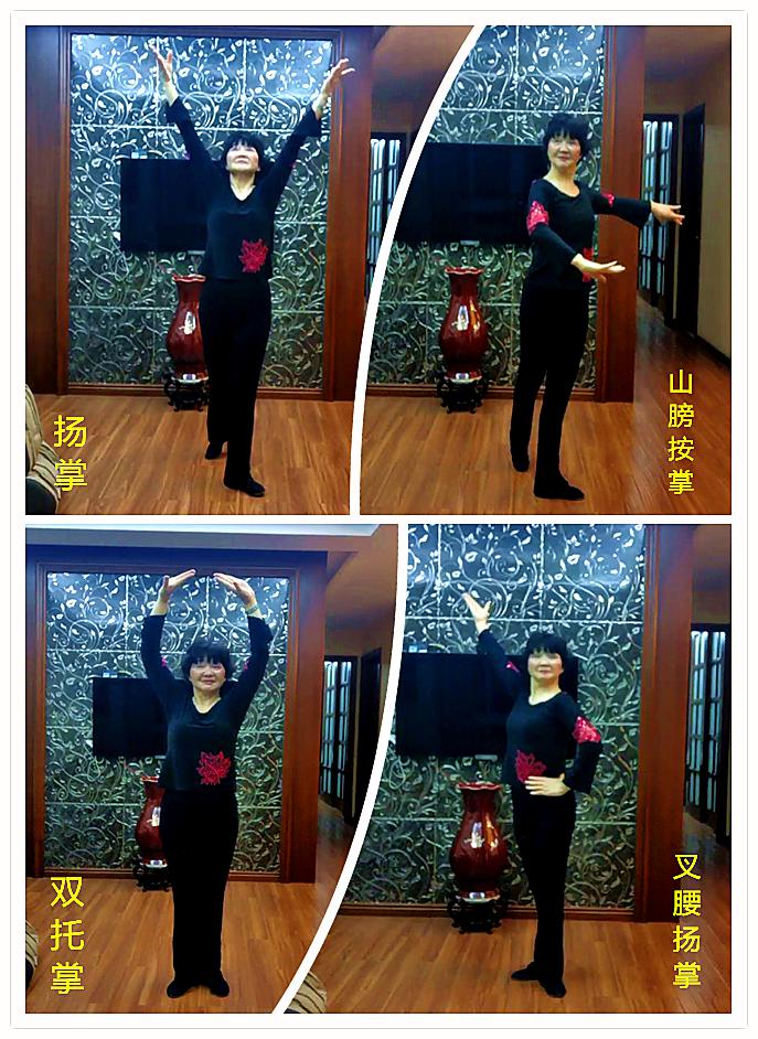 中国古典舞基本手型和手位中华韵公开教学示范课旨在通过规范中华韵