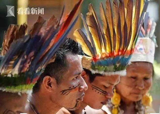 亚马逊部落医生确诊恐危及85万巴西土著居民