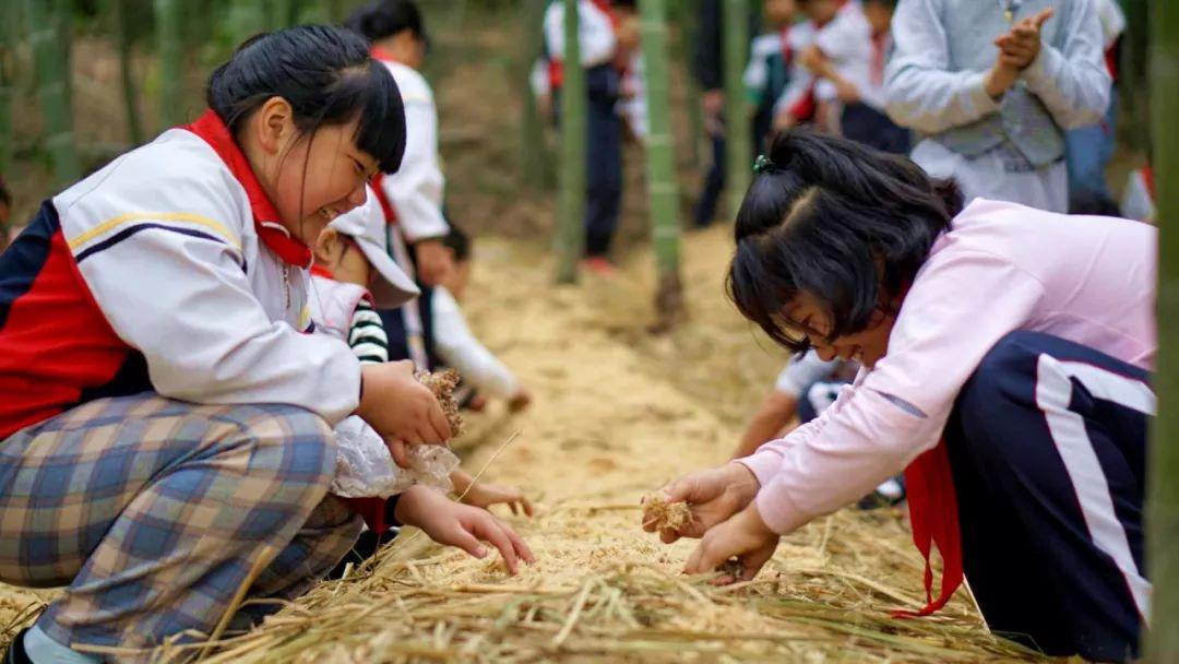 小伙伴们,灵兰山谷蘑菇采摘活动己正式开始!接受蘑菇迷的预约哦