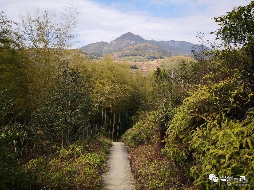 温州瑞安湖岭奇云峡谷东元娄山岭古道环线穿越,风景如画!_元村