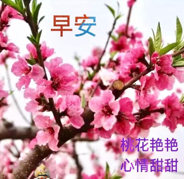 3月31日最新早上好特漂亮的动态祝福图片