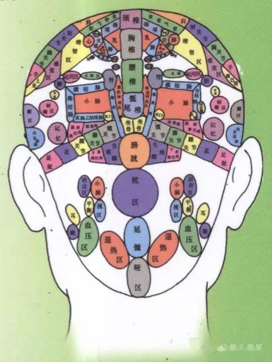 全息头疗,是如何做到防治人体疾病的?