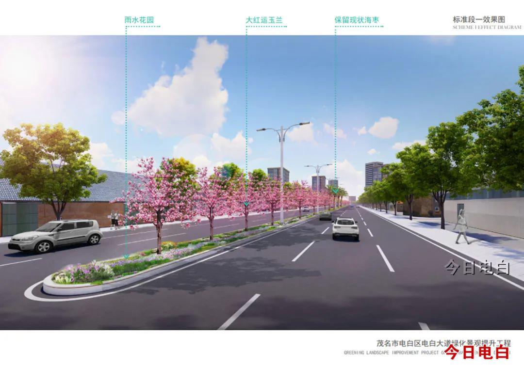 电白城区交通大升级将建设和改造多条道路附效果图