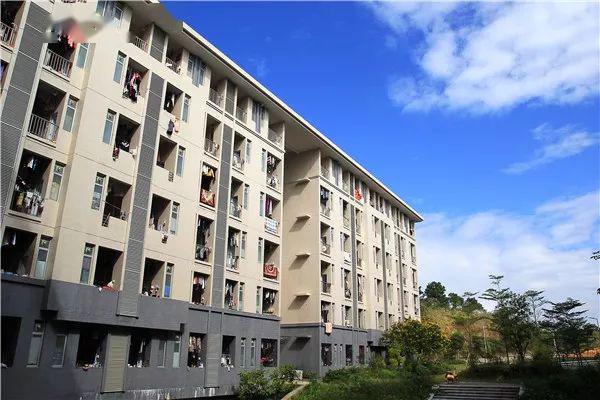 2019年学考 文科:197分 理科:120分 广青 位于广州白云区 学校的宿舍