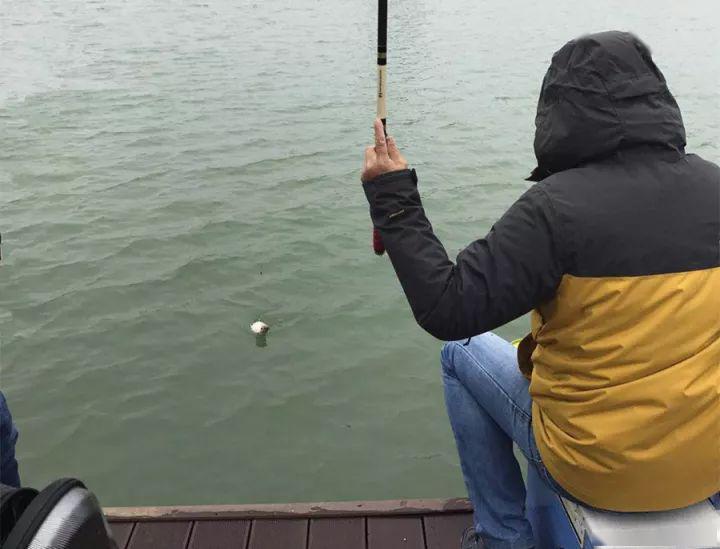 钓底时该怎样调钓?根据文中步骤进行操作,有口就有鱼_调整