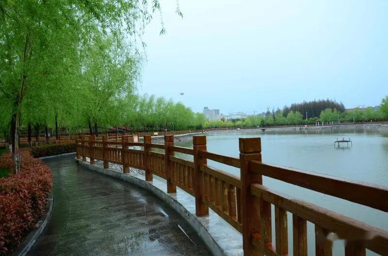 3月28日,一场春雨过后,正阳县广场公园里晨光旖旎,春色如洗,雨后初晴