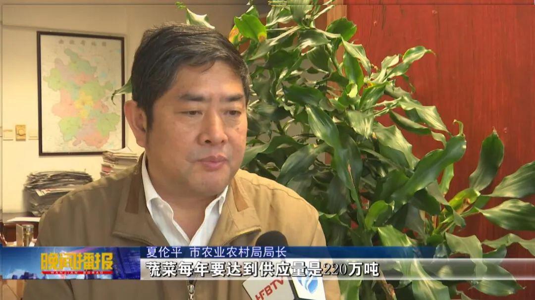 新闻采访市农业农村局局长夏伦平量足价稳品类全合肥菜篮子全国考核获