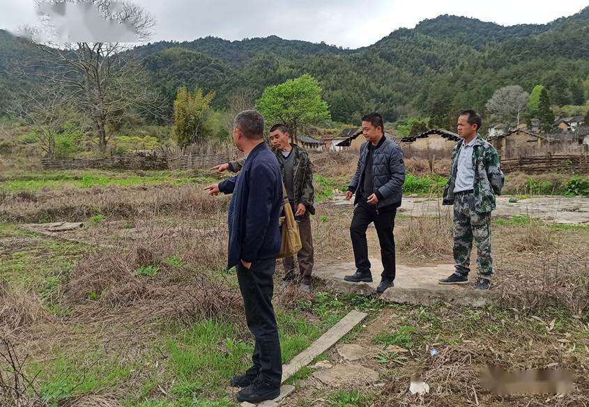 近日,在临塘乡大屋村,村民正挑着数百斤刚采摘的准备销售的花菜