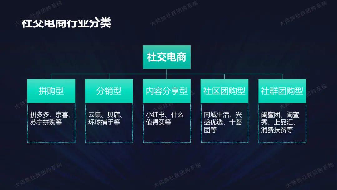 2019中国社群电商年度报告