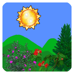 240_240gif 动态图 动图