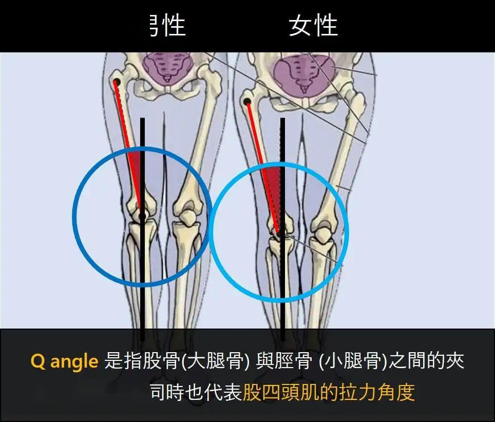 女性运动膝盖痛比男性多详情分析