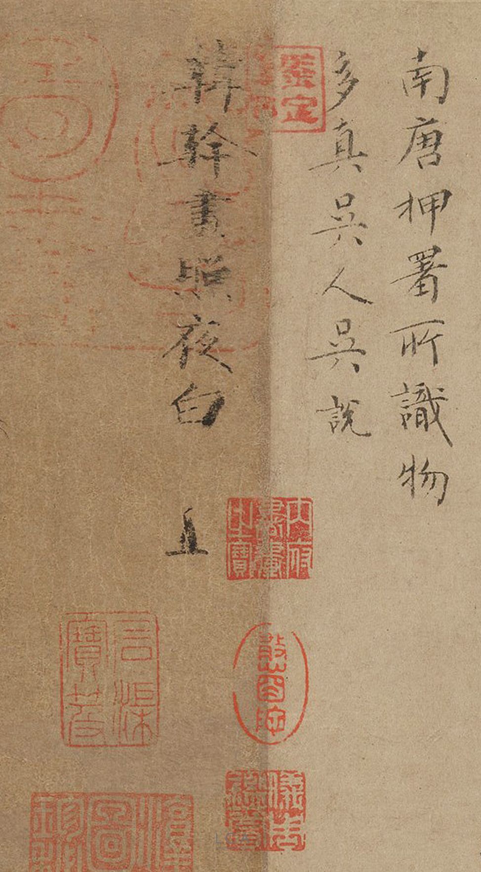 被无尽膜拜的_白图