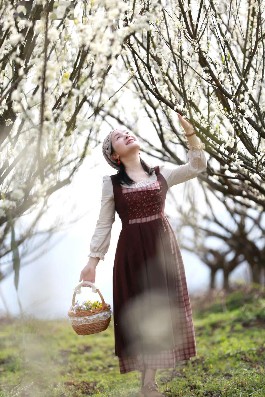 天台摄记之紫凝山上层层桃李花云间烟火是人家┃拍摄夏文娟q家女人