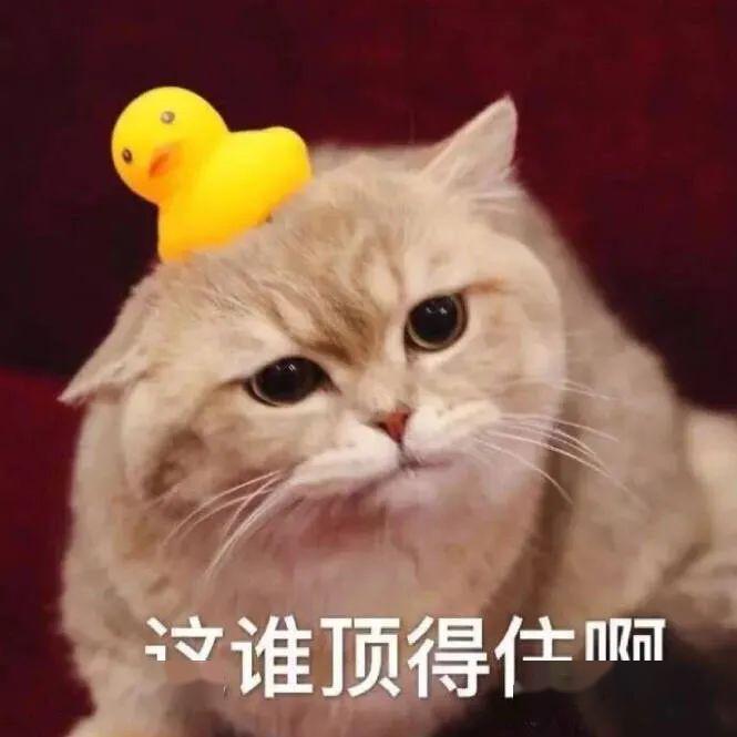 令人窒息的rap现场尴尬到时间静止