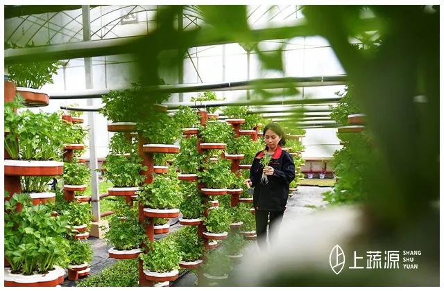 上蔬源阿里智慧农业布局马云在下一盘很大的棋