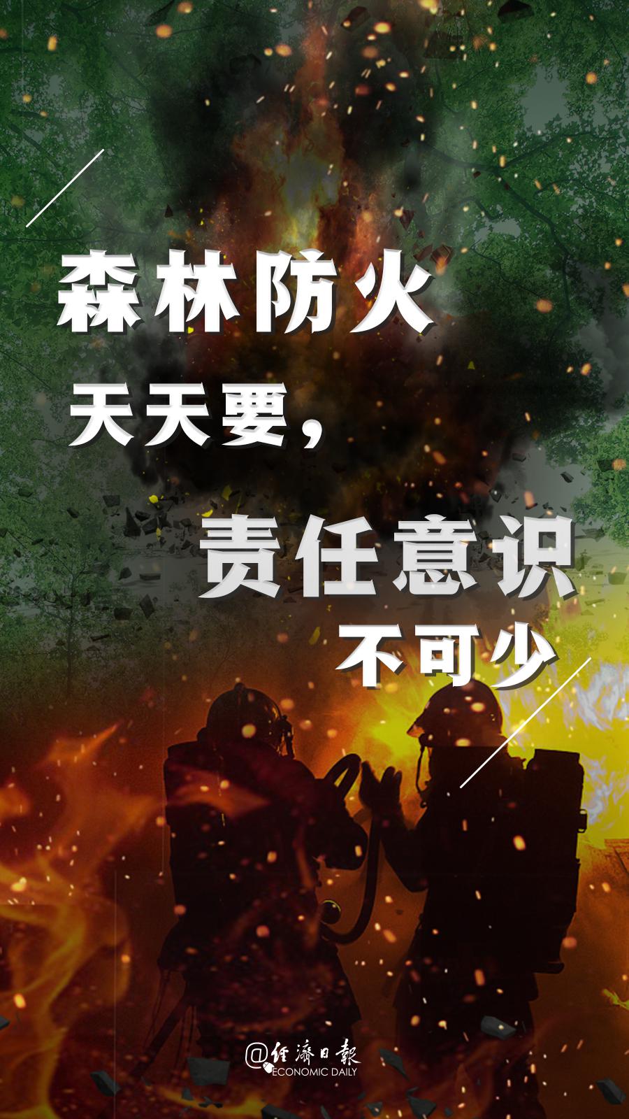 森林防火必须记住9句话,不要再让悲剧重演!
