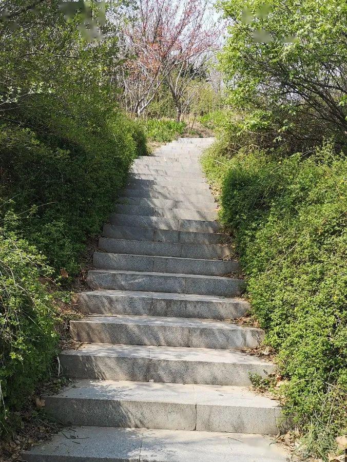 濮阳三角公园再度被曝现场人山人海竟是因为