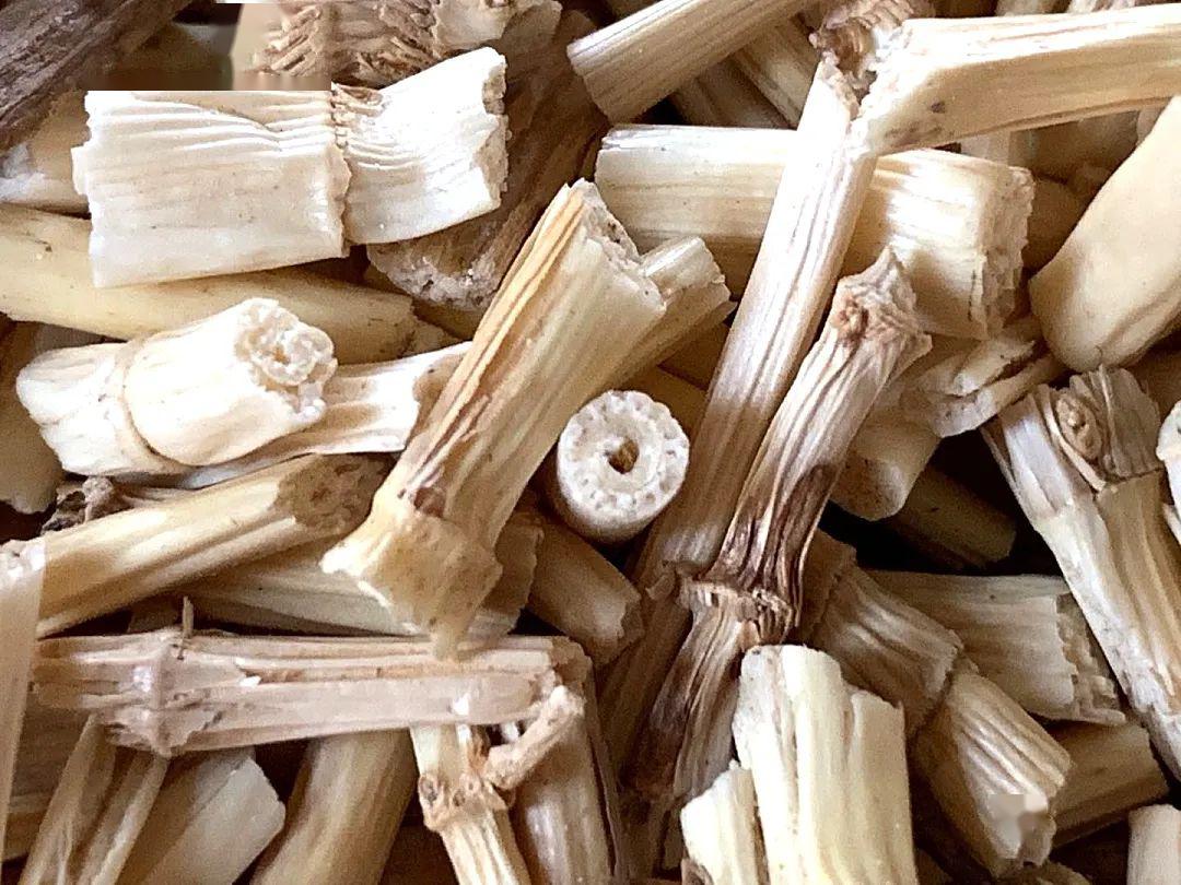 中医如何治外感介绍一下白茅根解热毒治疹子的神奇用法聊聊张锡纯医案