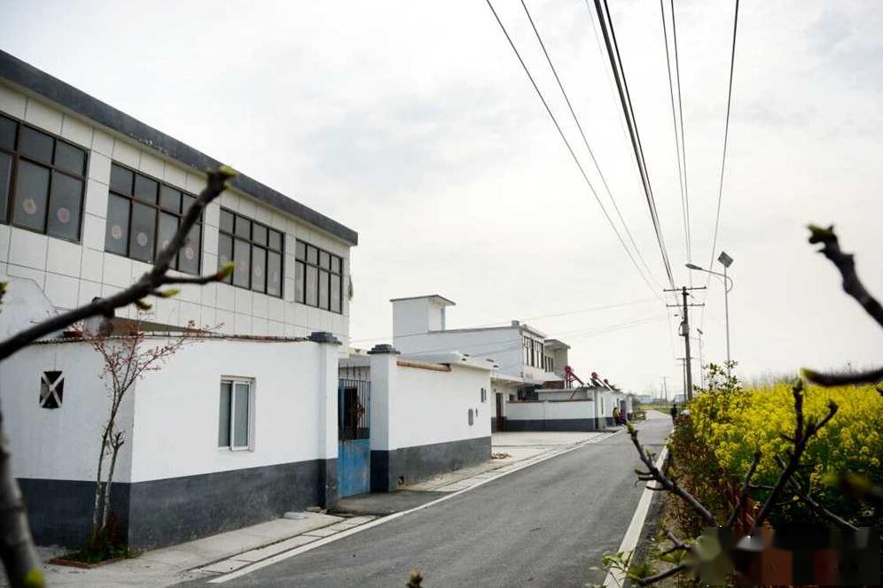 这是长丰县罗塘乡梅元村给人留下的印象,村里通过大幅整治村庄环境和