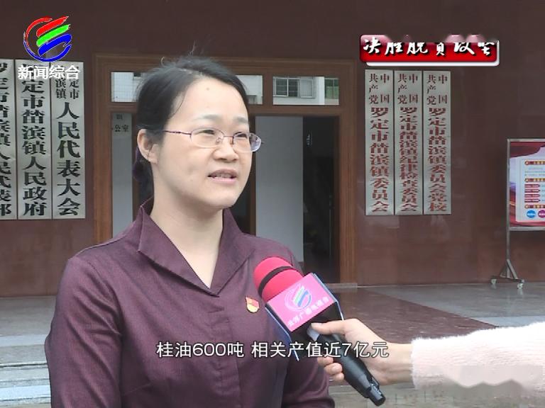 罗定市榃滨镇委书记蓝美:"我镇肉桂种植面积达14.