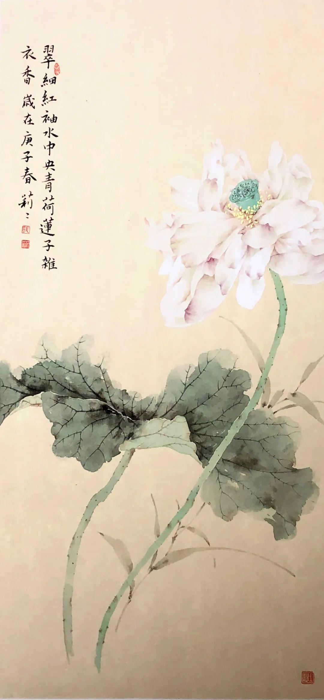 张莉莉没骨荷花四条屏技法班4月20日开课