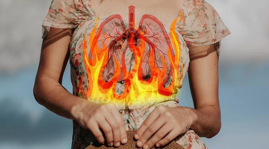 艾嘉仁|肺火旺?心火盛?不用怕,中医食疗来降火!_枸杞