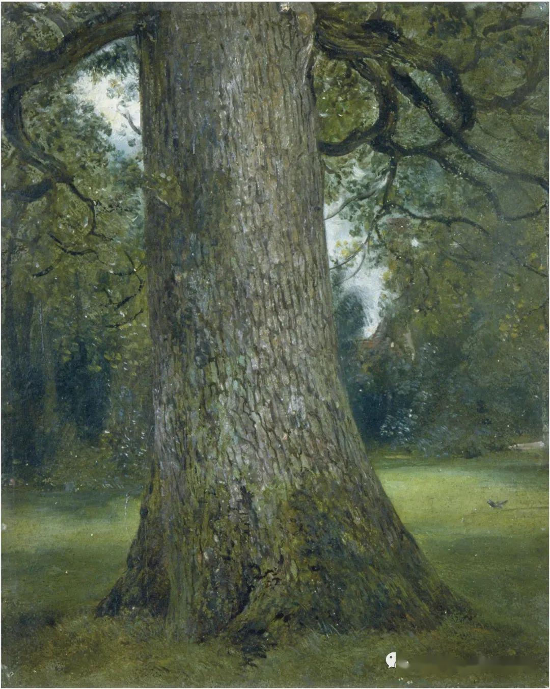 油画大师卢西安弗洛伊德作品欣赏50张高清图