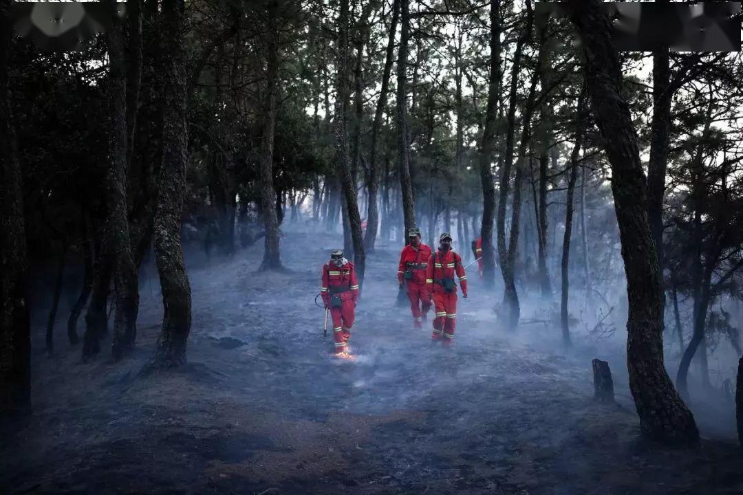 19人牺牲森林大火必须要去救吗这群深藏密林鲜为人知的年轻人给出答案