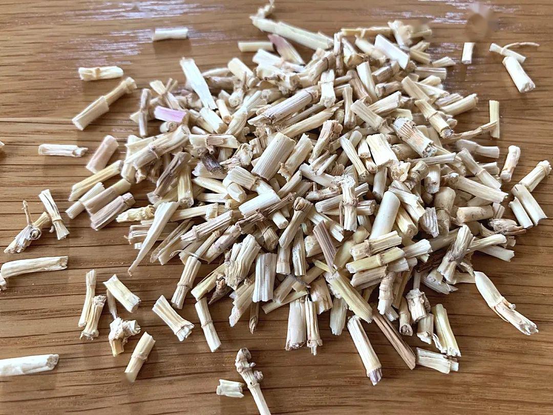 中医如何治外感介绍一下白茅根解热毒治疹子的神奇用法聊聊张锡纯医案