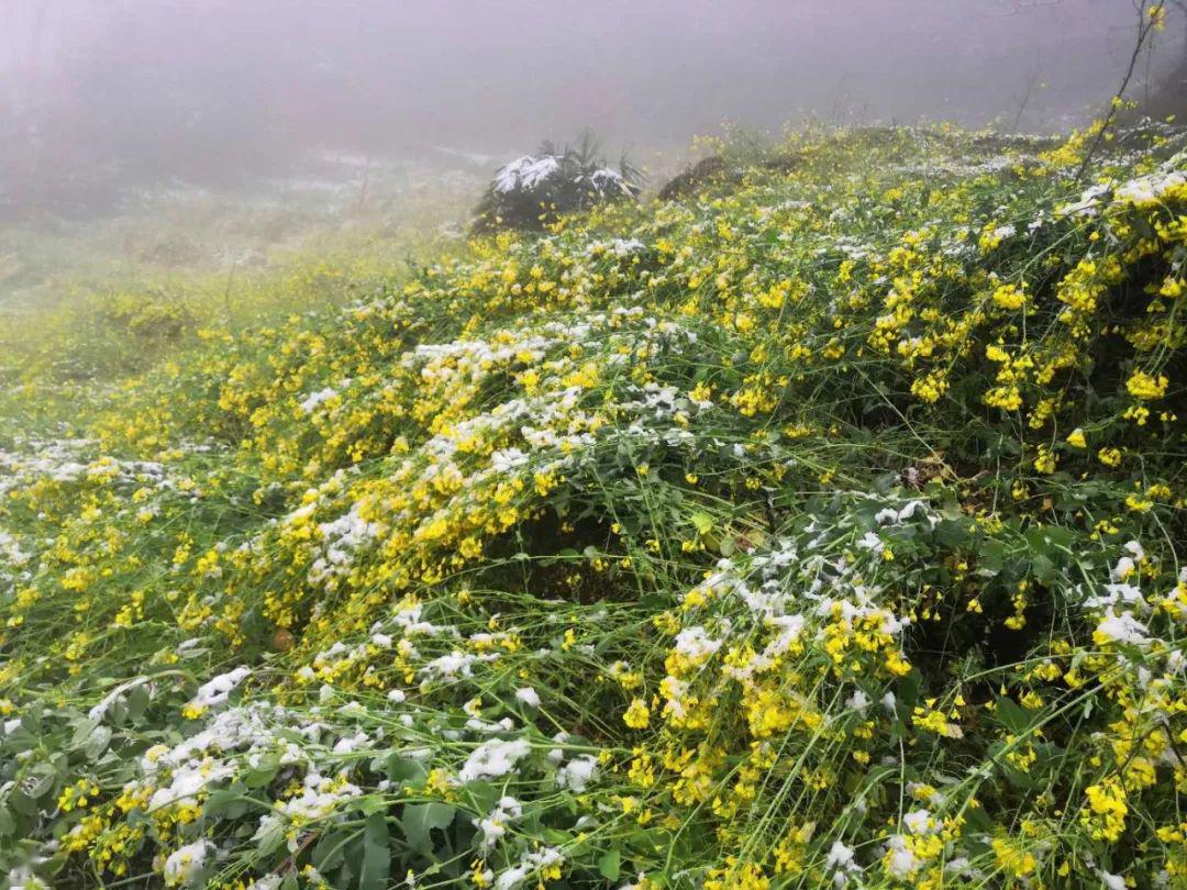 支付令申请条件 流程_如何审请支付令_申请支付令程序