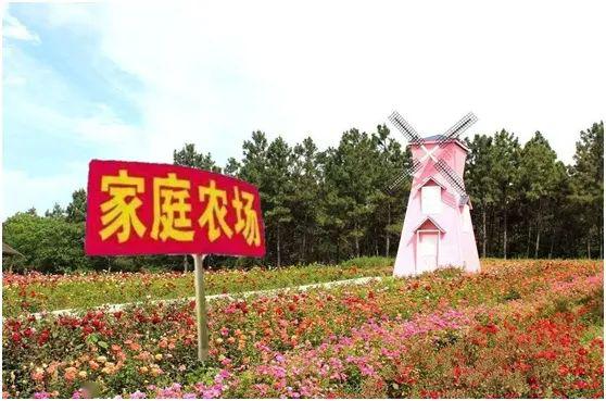 发掘都市现代绿色农业的璀璨珍珠南京市启动首届最美家庭农场评选活动