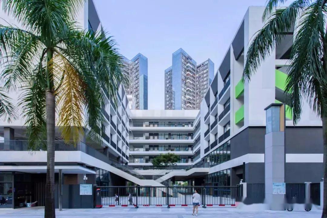 传言赤湾学校要挂牌南二外能带火赤湾吗