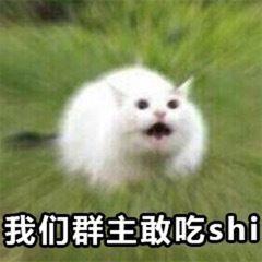 怼群主群聊表情包我们群主敢自豪中我不敢待会就把你踢了